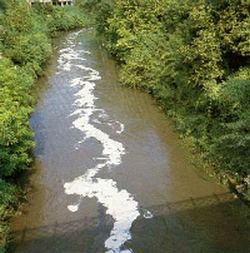 fiume inquinato