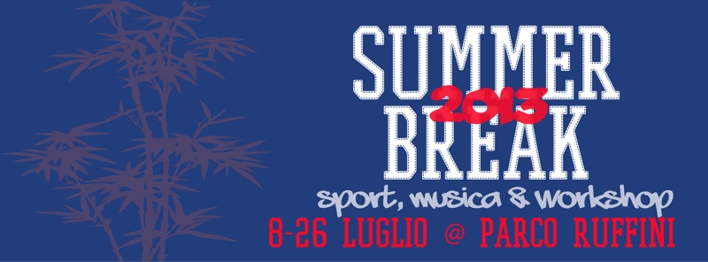 Summer Break 2013