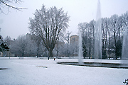 neve Parco Tesoriera