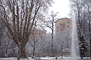 neve Parco Tesoriera