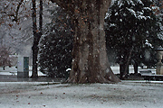 neve Parco Tesoriera