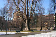 neve Parco Tesoriera