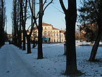 Nevicata 13.12.2001 Parco Tesoriera Torino