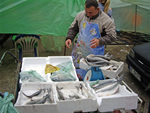 Carretto del pesce al mercatodi Tirana