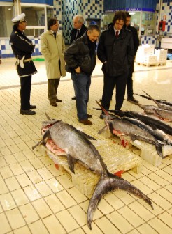 mercato ittico all'ingrosso
