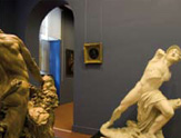 Pinacoteca dell'Accademia Albertina di Belle Arti