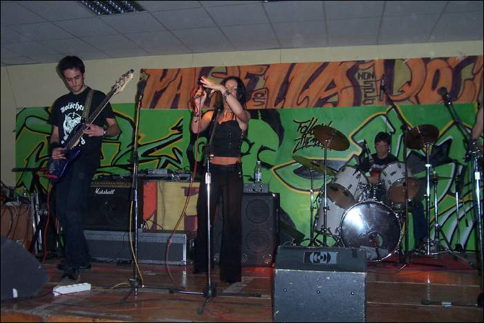 Pagella Non Solo Rock - Selezioni 2005