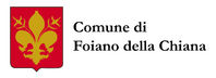 http://www.comune.torino.it/politichedigenere/bm~pix/foiano-della-chiana_comune~s200x200.jpg