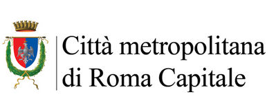 http://www.comune.torino.it/politichedigenere/bm~pix/logo_roma-metropolitana~s400x400.jpg