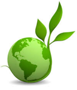 Sostenibilit ambientale
