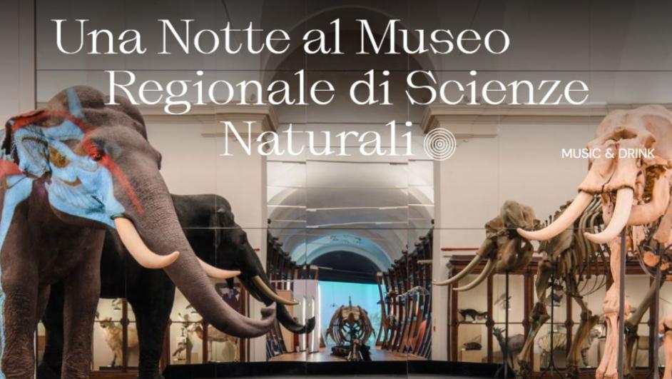  una notte al museo naturale di scienze naturali 