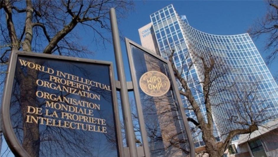  Tirocini retribuiti alla WIPO World Intellectual Property Organization di Ginevra