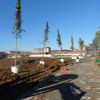 Realizzazione Parco Spina 4 | Cantiere: piantumazione | Ottobre 2013-3